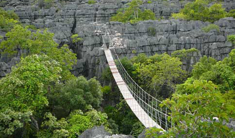 Tsingy de l'Ankarana